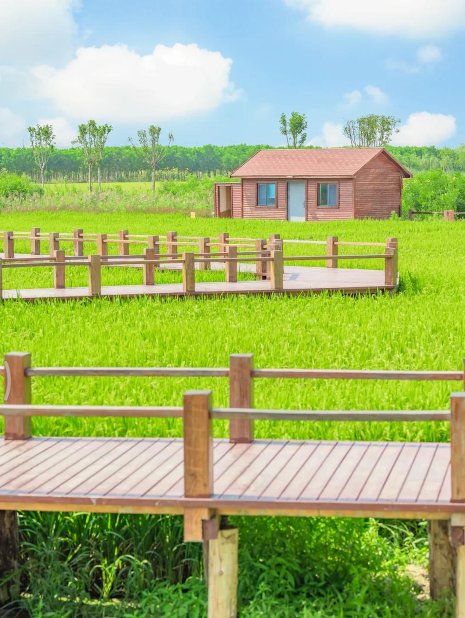 天津冬季遛娃,天津遛娃的免费公园