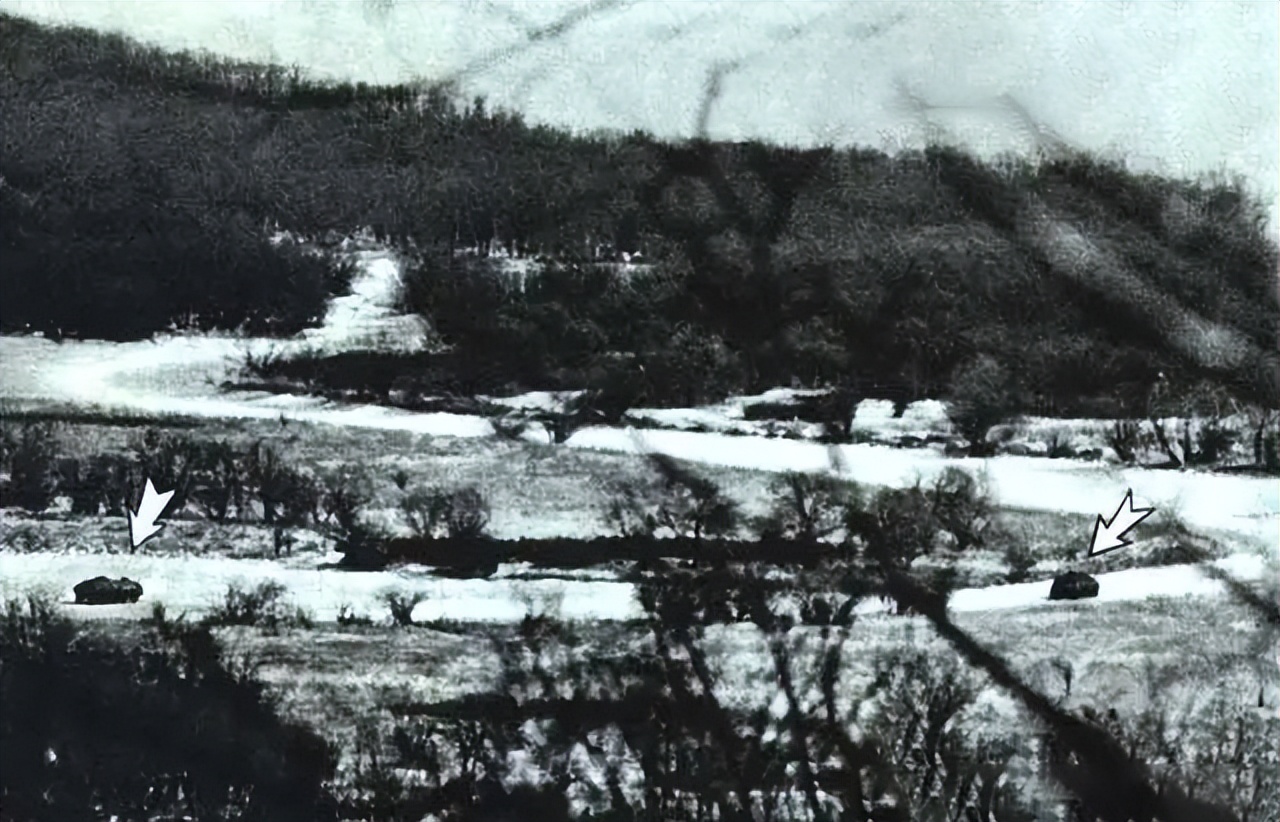 我死后中国会是什么样子？听完*小平邓**回答，毛主席：英雄所见略同