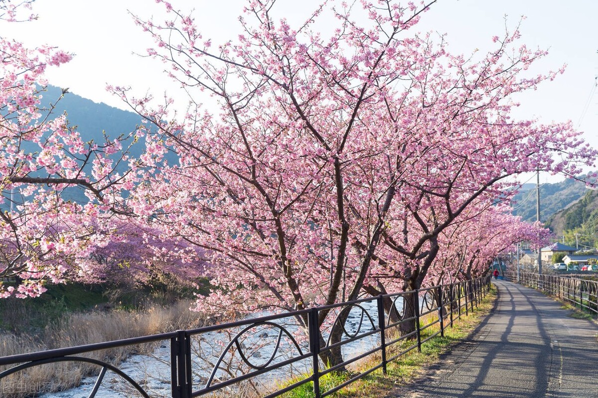 运城八大优质企业是哪几个,运城龙头企业有哪些