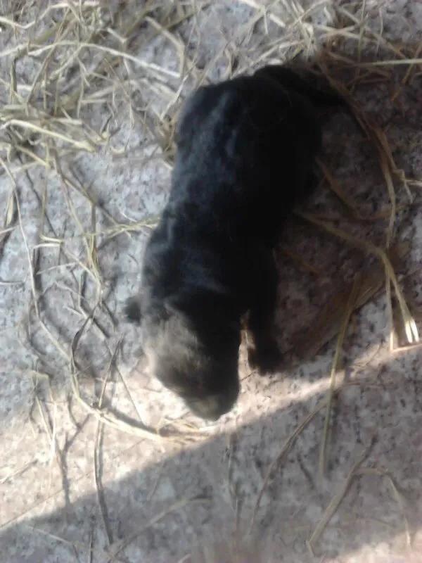 世上只有妈妈好爸爸也不错,世上只有妈妈好爸爸不好吗