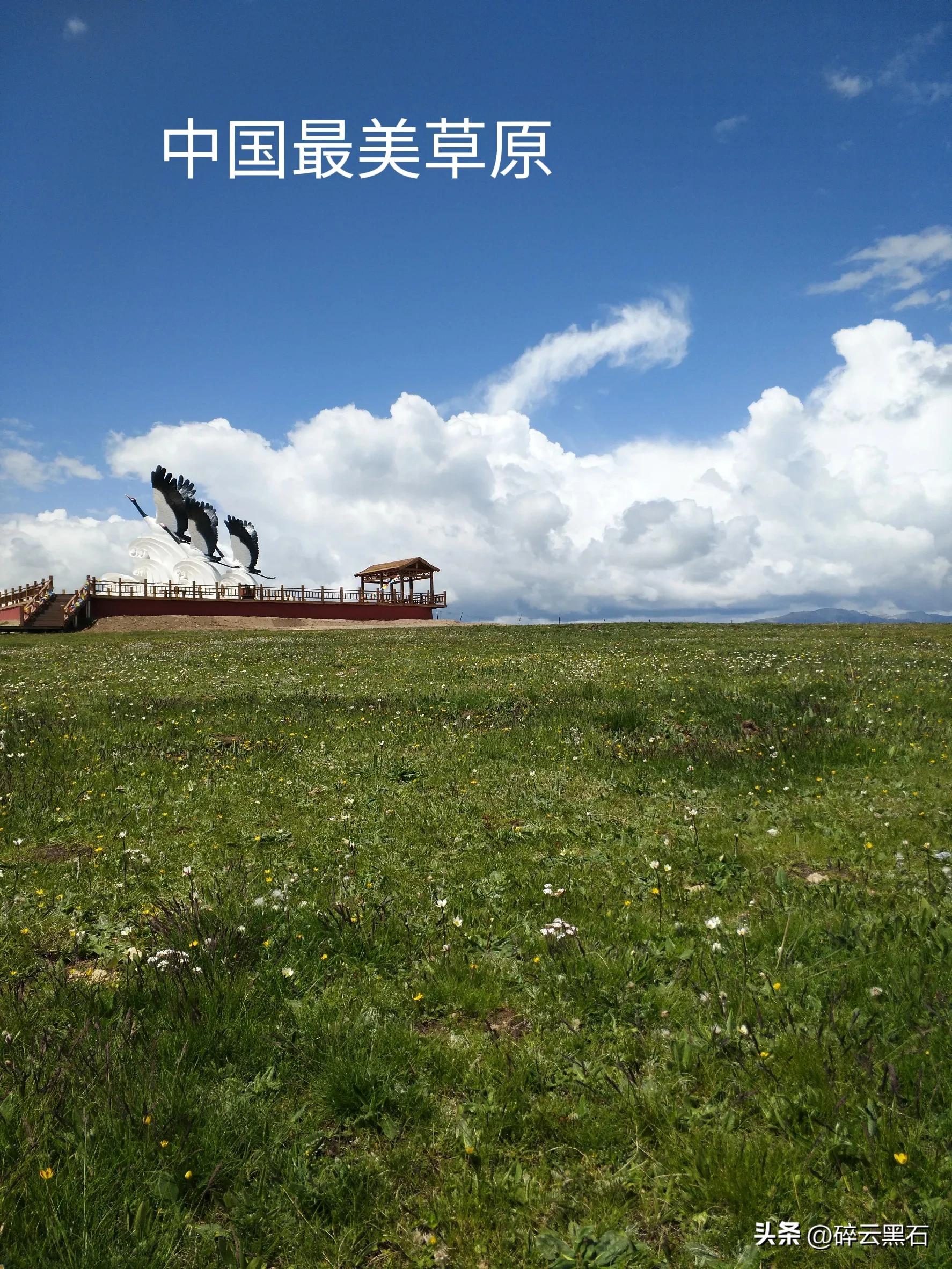 我的隔离日记第1天,我的隔离日记第2天