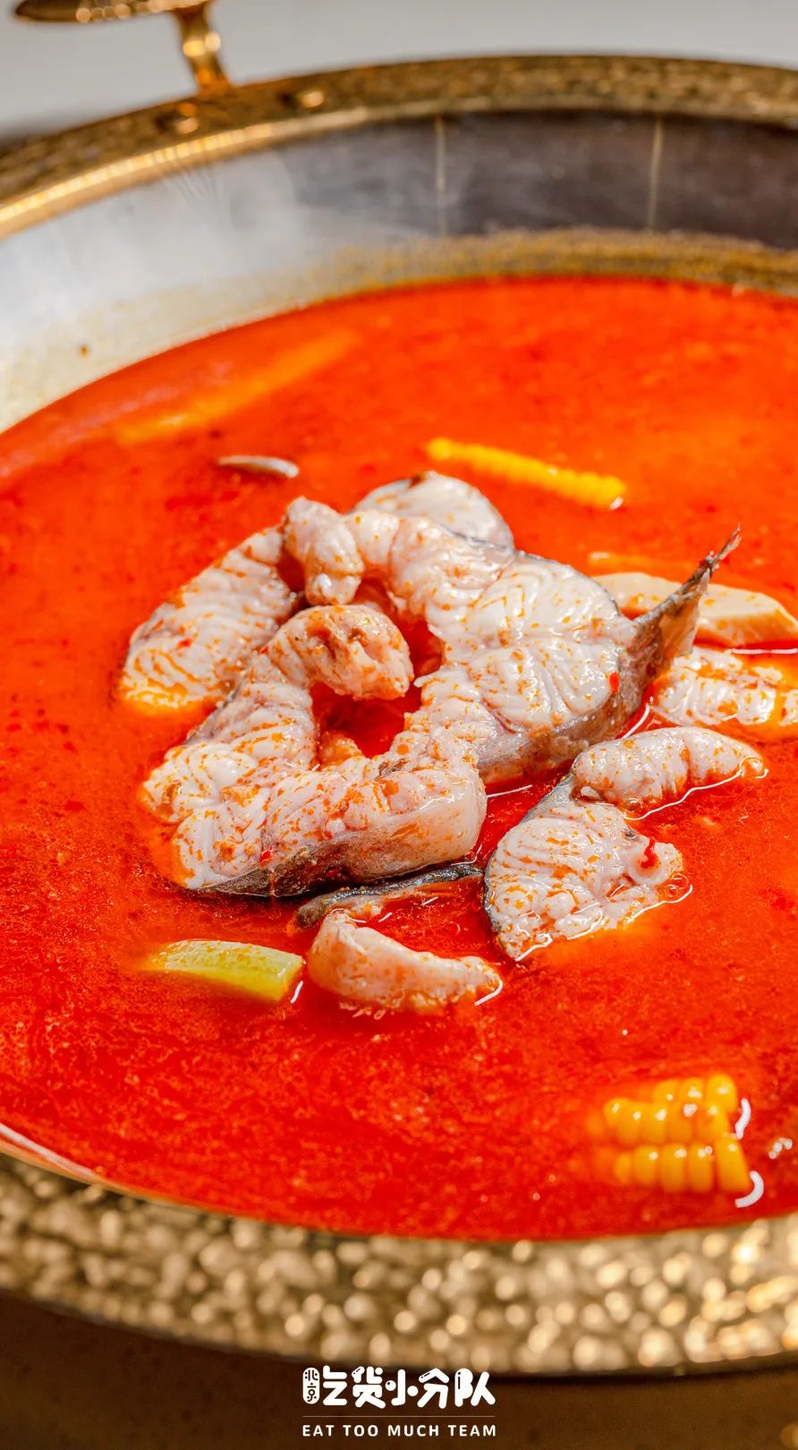 一家味道不错的鱼火锅店,一家超好吃的鱼火锅店