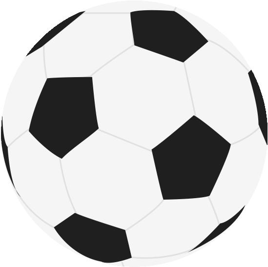 广西平果足球青训,平果市社会足球改革扶持奖励办法