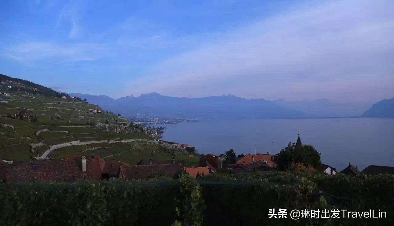 不在瑞士买不到的“低调贵族酒”,我尝到了