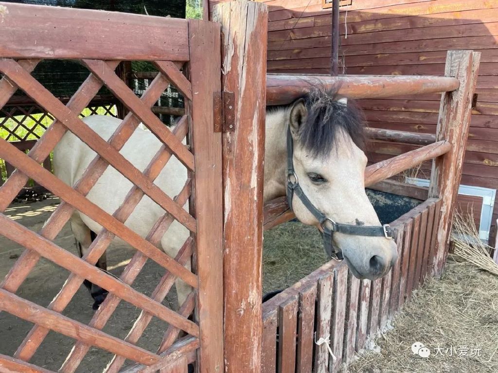 打卡北京景区,北京度假村旅游攻略带孩子