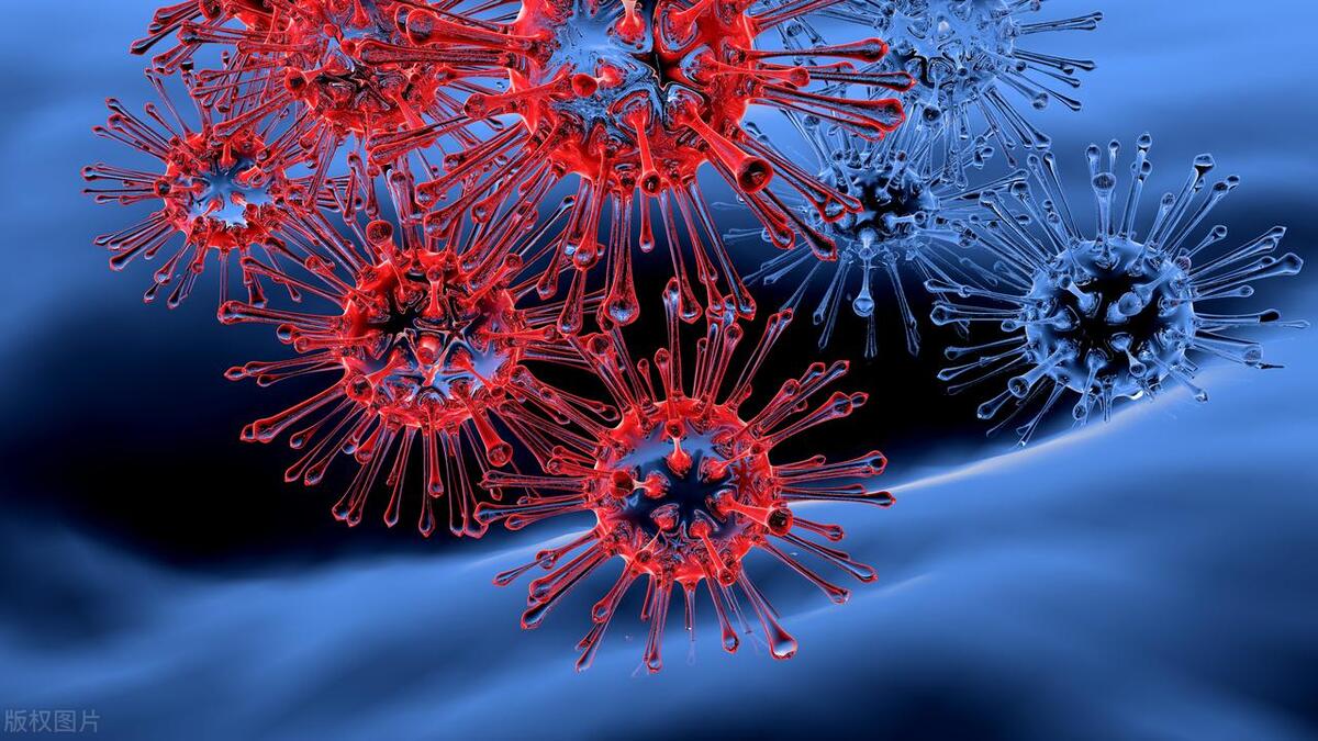 女性阴毛有什么用?由黑变白,预示着什么?医生告诉你答案