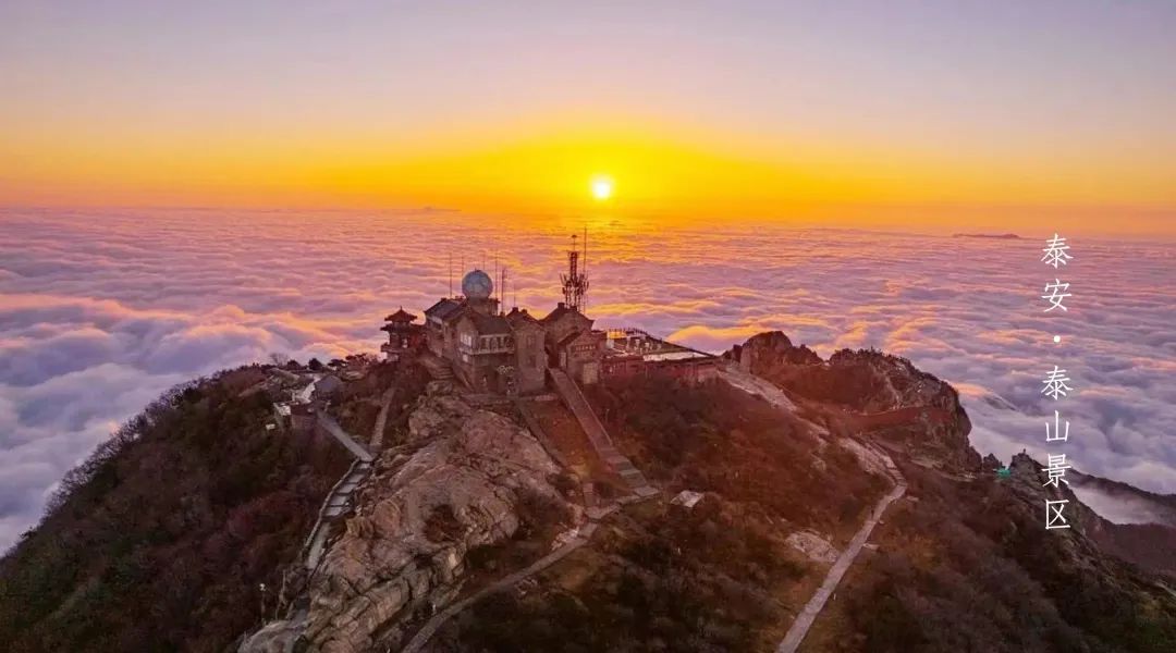 邀您共赏春,邀您一起奔赴冬日之约