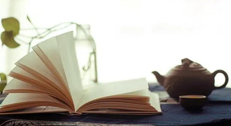 读怎样的书能提高读书效率,读书怎样读好一本书