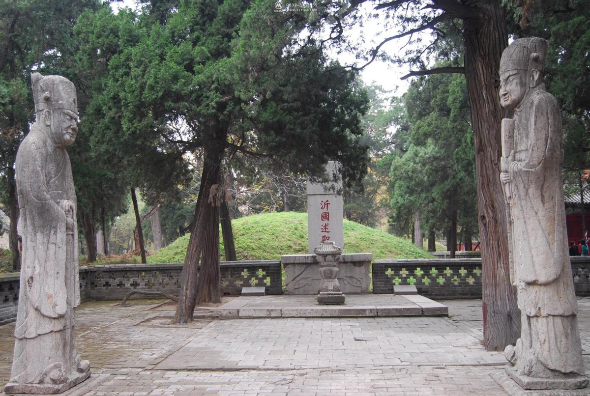 山东孔林存在2400年,周围不见乌鸦蛇鼠,只因林中有这两样东西