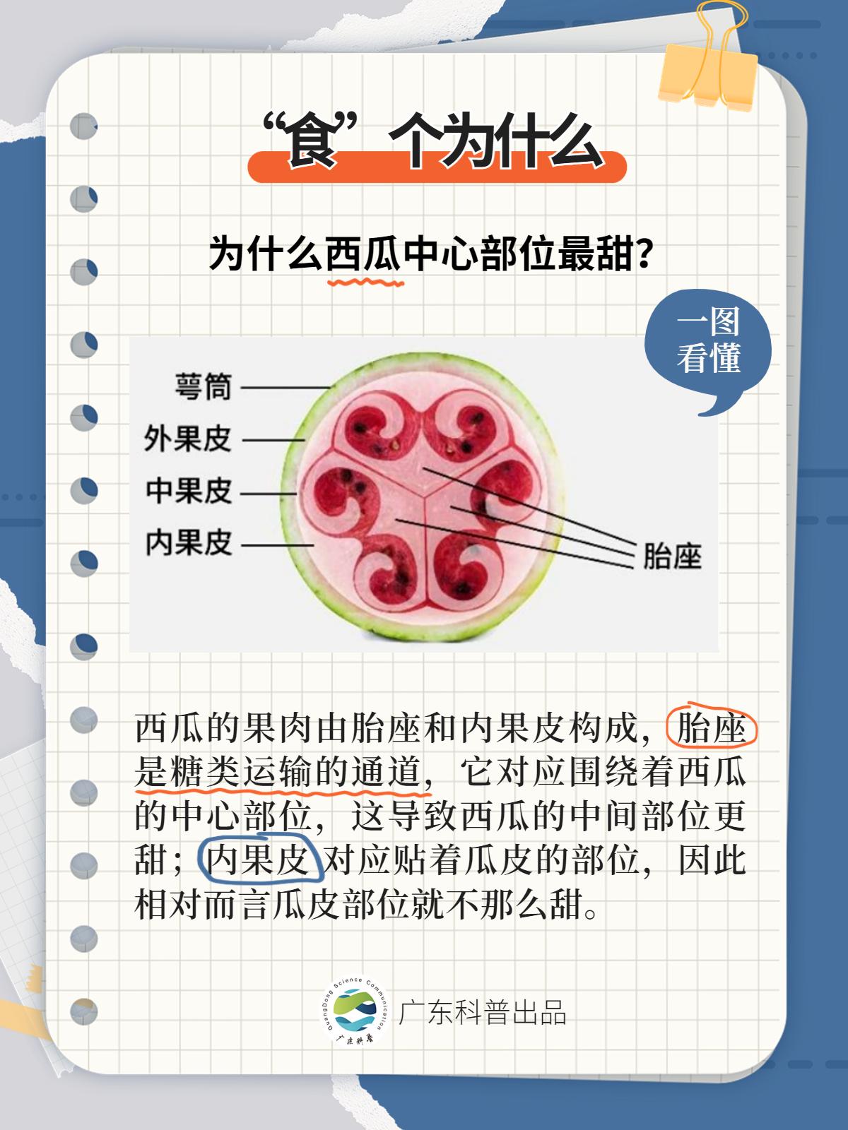 凉皮里放黄瓜丝被罚款事件,凉皮放黄瓜丝被罚监管部门回应