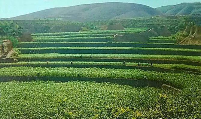 罕见的印第安人照片,罕见印第安人照片