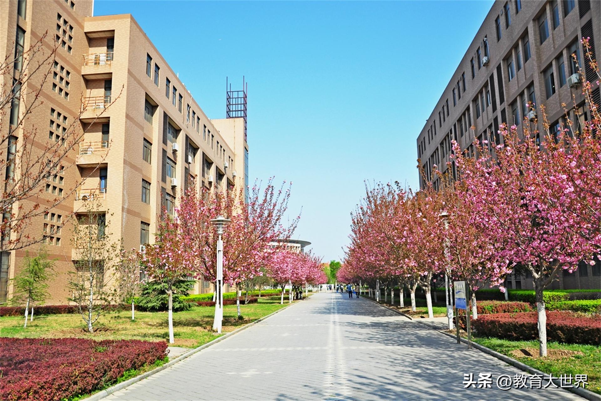 工业大学前途比较好的专业,工业学校学什么专业有发展前景