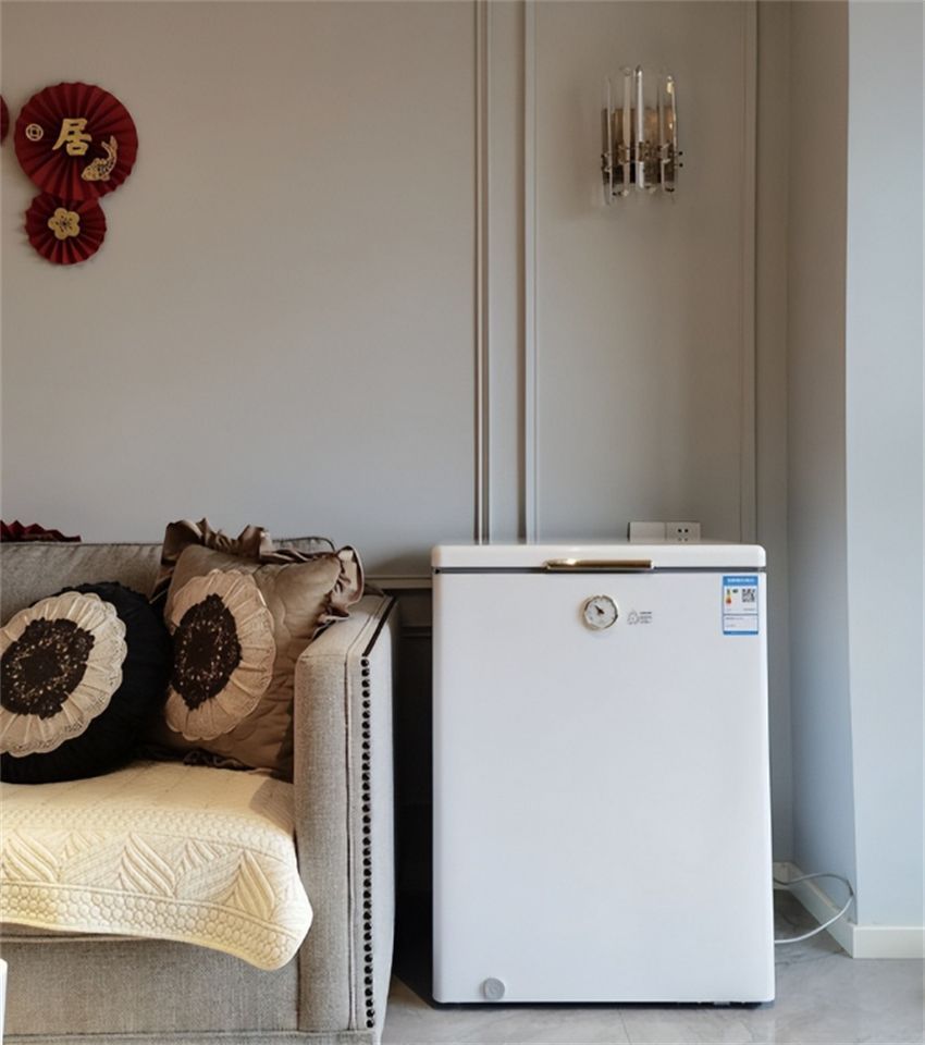 40度冰柜有必要买吗,十大不建议入手的冰柜