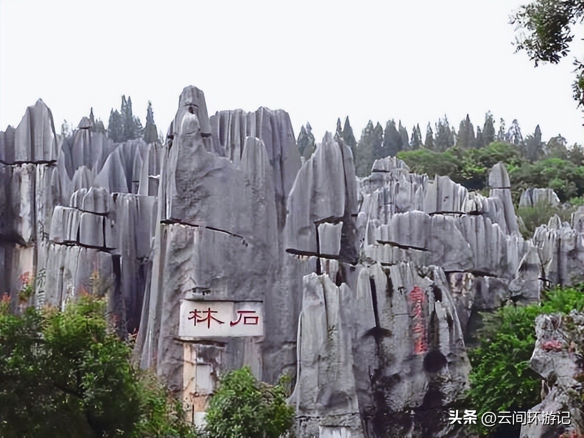 「一根风花雪月的鸡毛」（云南丨昆大丽香）