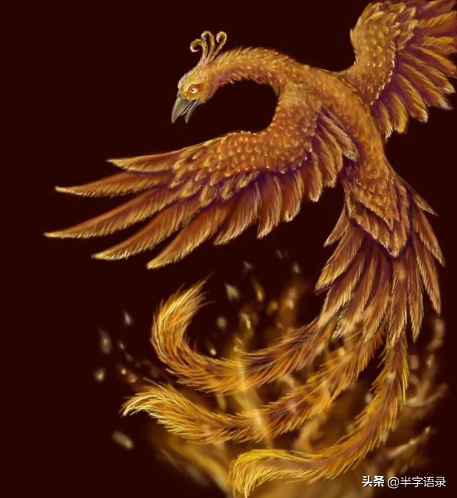 山海经异兽录排名大全,山海经异兽图片九尾狐