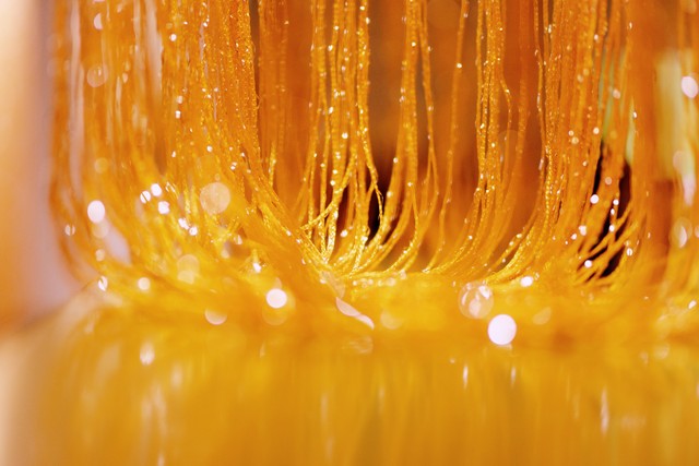 十二星座探秘之旅,星座探秘双子座