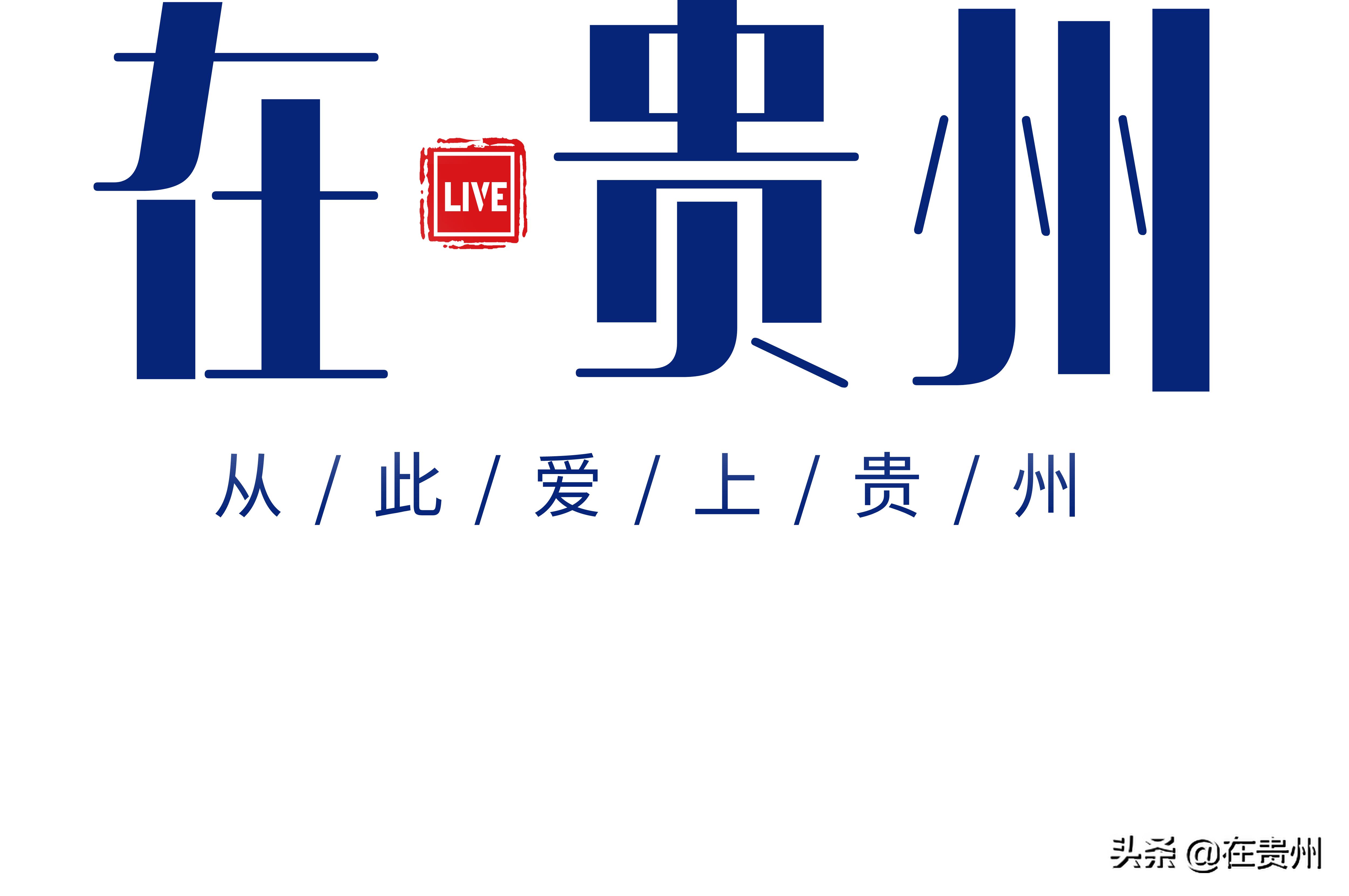 贵州现代物流集团*党**委委员、纪委书记叶炜一行赴润丰公司开展调研