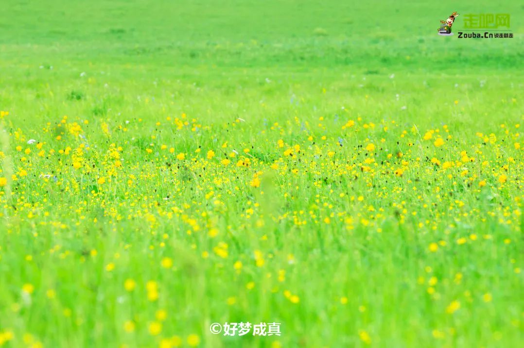 离北京最近的草原避暑胜地,华北夏季避暑好去处