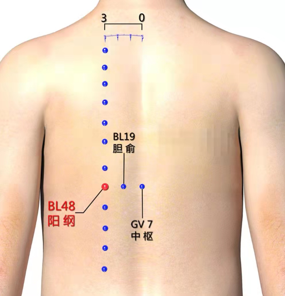 程凯医生讲座疏肝利胆的穴位,肝气郁结肝胆湿热按哪个穴位