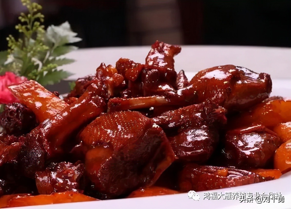 人间美味的动物有哪些,大雁做法和营养价值