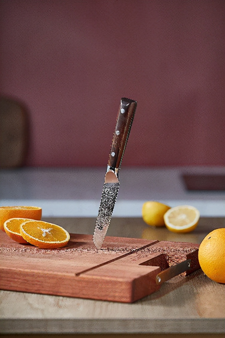 西厨刀和日式刀哪个实用,日式厨刀买sg2还是vg10