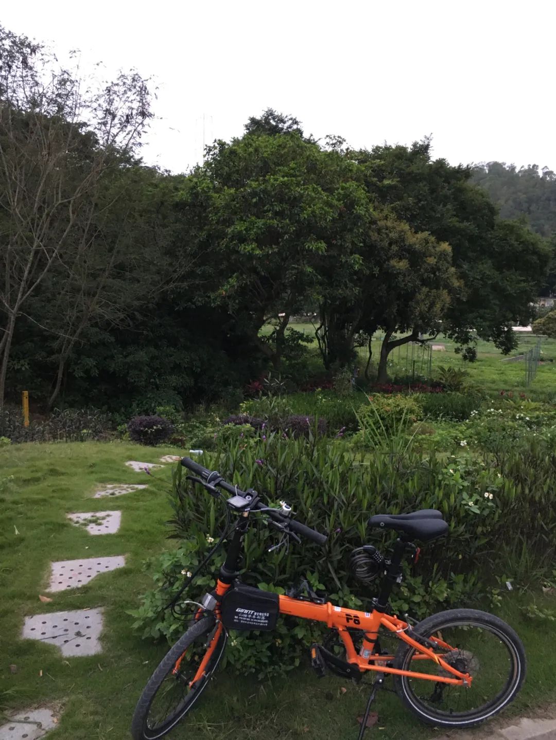 旭光车行雅迪电动车,旭光单车