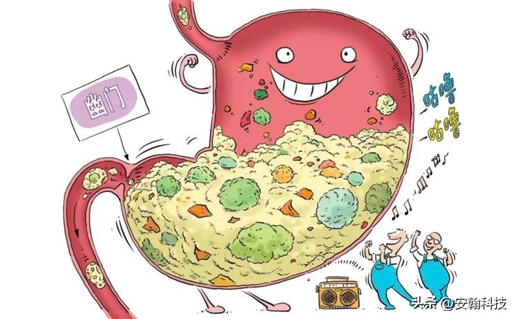 安翰科技磁控胶囊胃镜怎么检查,安翰磁控胶囊胃镜能检查清楚吗