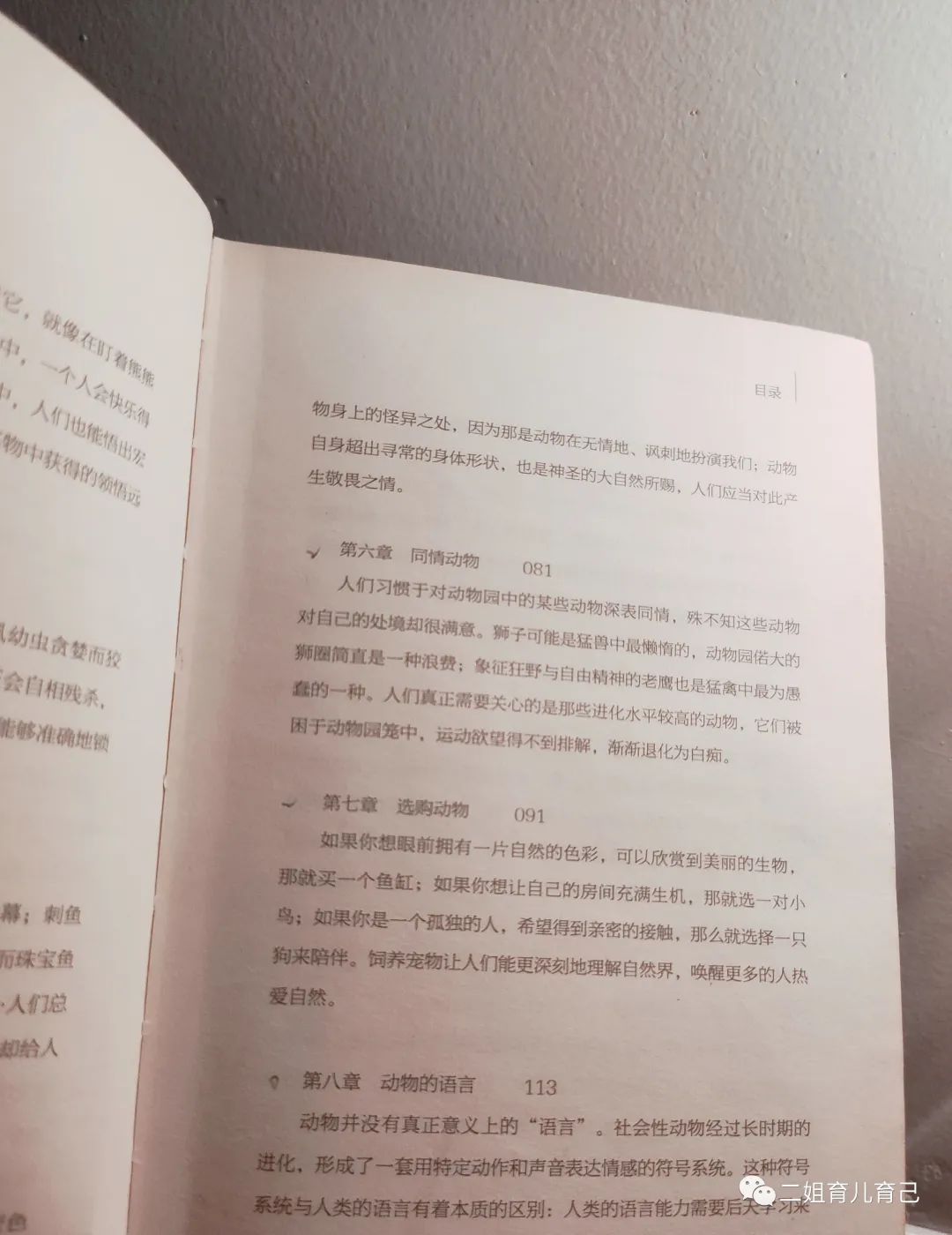 所罗门王和他的魔戒,所罗门王的魔戒的第七个谜题