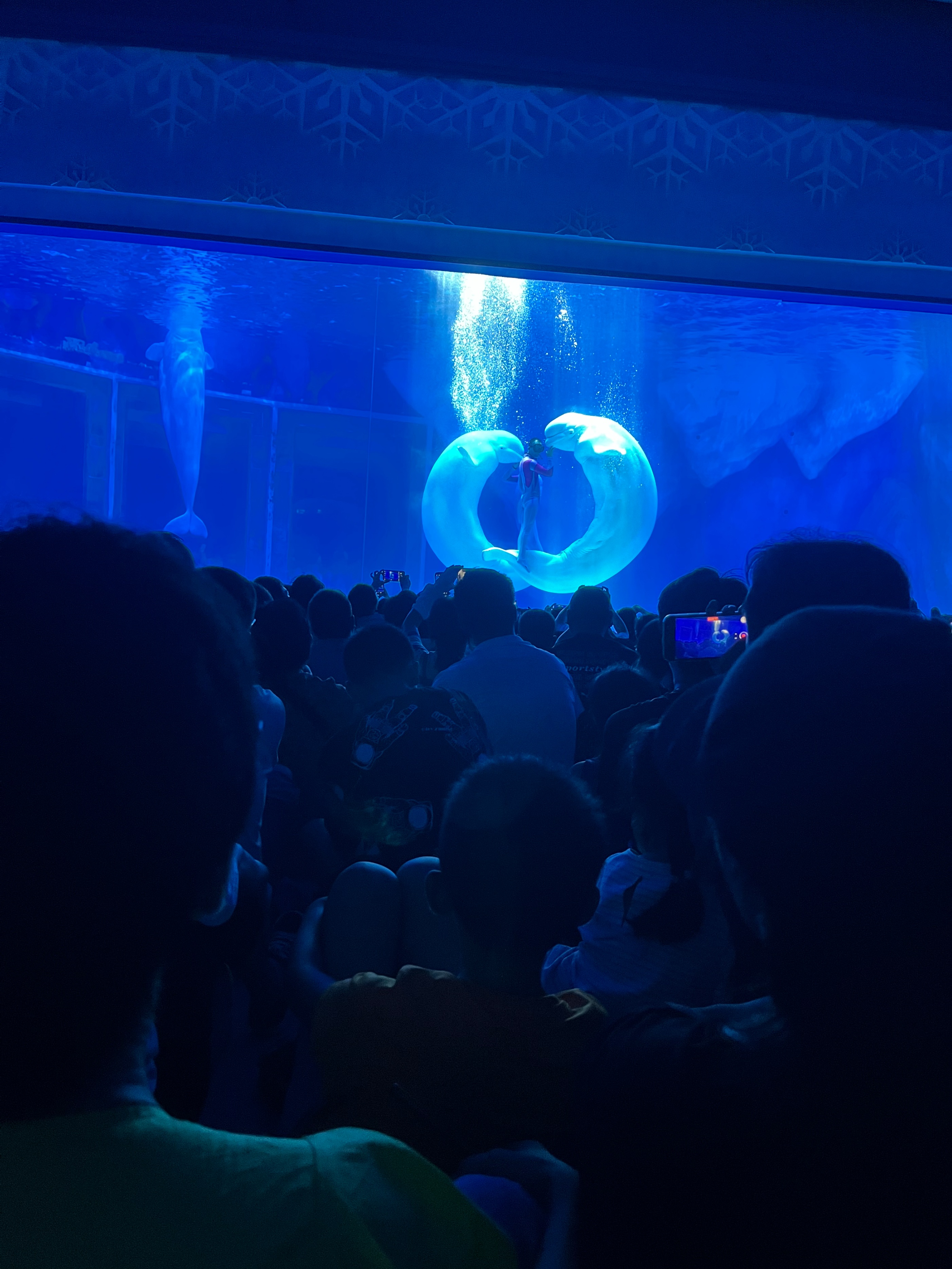 日本奥特曼主题公园旅游,上海奥特曼海昌海洋公园特惠门票