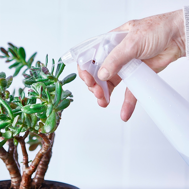 宜家必买的30件好物学生,宜家10元以下好物推荐