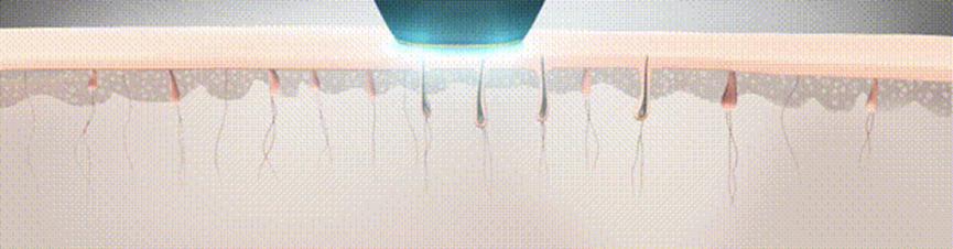 夏天来了你开始减脂了吗,夏天来了你减肥了吗