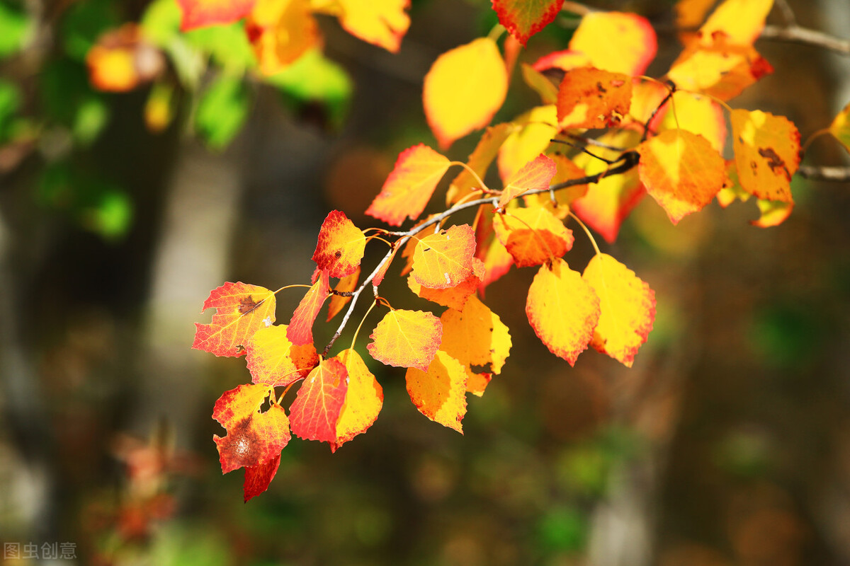 我在职场遇到不公平的事情怎么办,我在面试中遇见的奇葩事