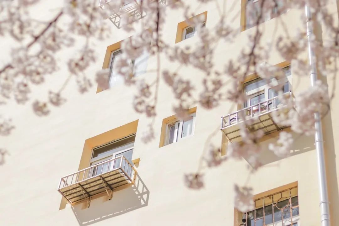 疫情快过去吧，我不想错过这座海滨老城的春天