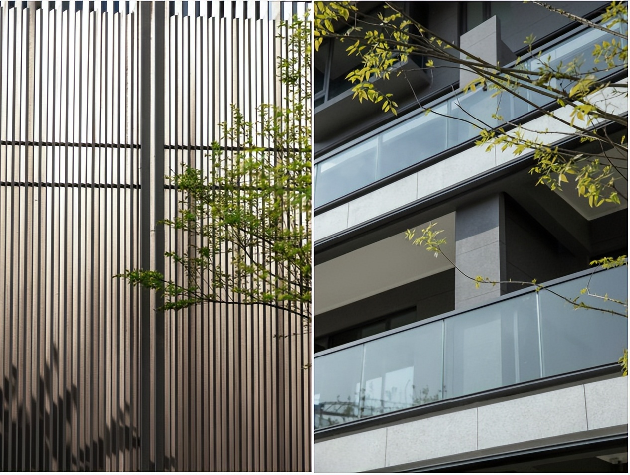 春日花事全屏,春日花事