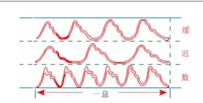 中医28脉诊歌诀及示意图,中医28脉全部脉象图解