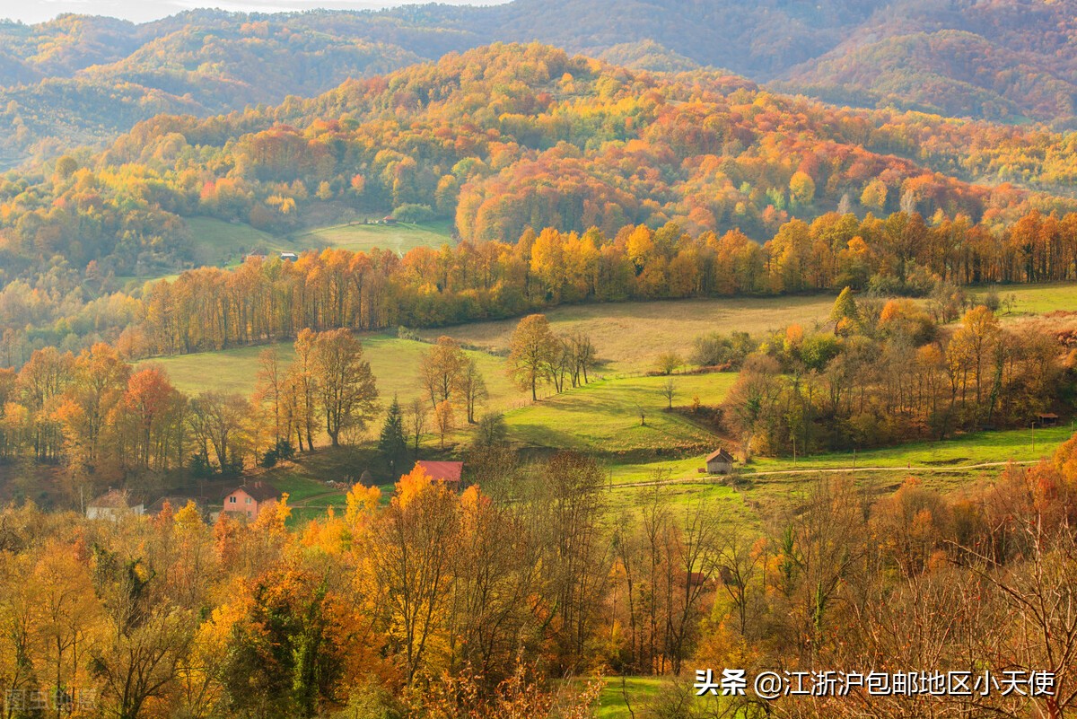 仙侠修真文推荐不要烂大街,言情仙侠修真文小说推荐质量好