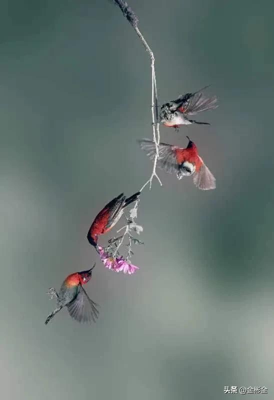 女朋友让交工资卡怎么回复,女朋友要求你上交工资是什么心理