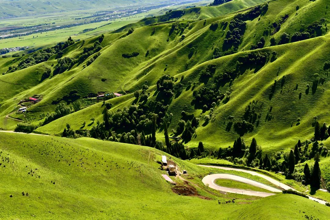 最美公路独库通车仪式,官宣独库公路2021年开通时间