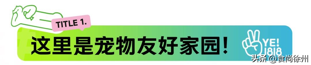 徐州宠物市集太好逛了！别走开，“立冬暖食市集”周末喷香开市