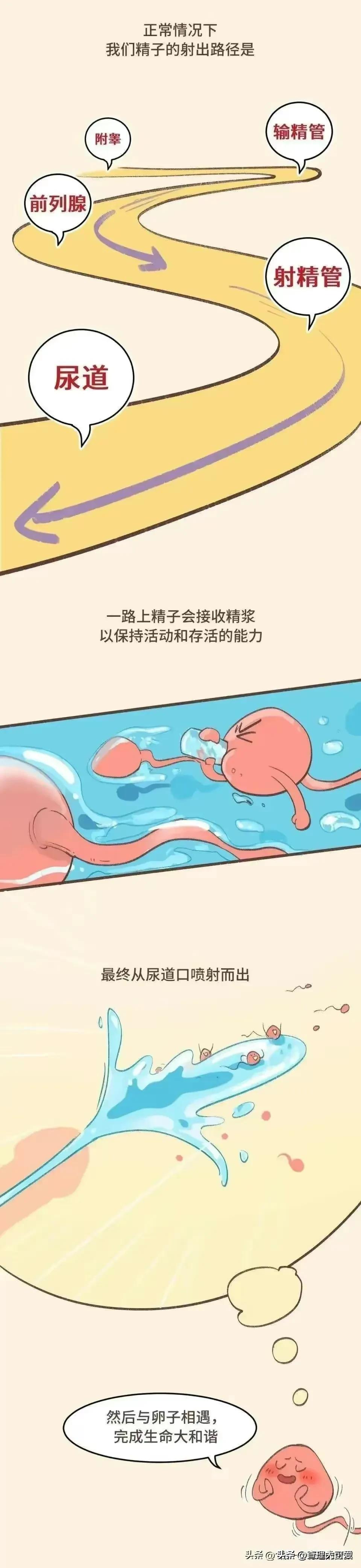 男女发生关系，最后关头不射进去会怀孕吗？漫画