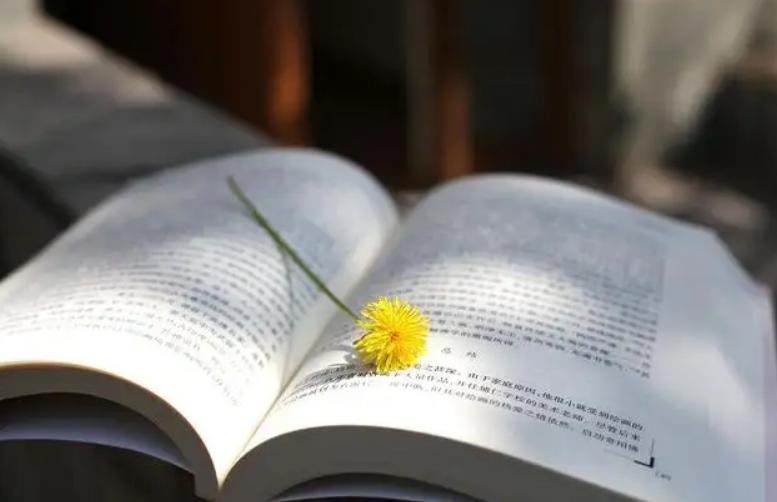 读怎样的书能提高读书效率,读书怎样读好一本书