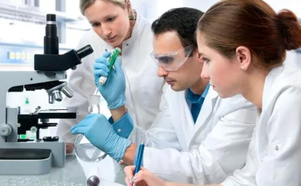 植物叶片营养成分检测仪,植株叶片检测技术