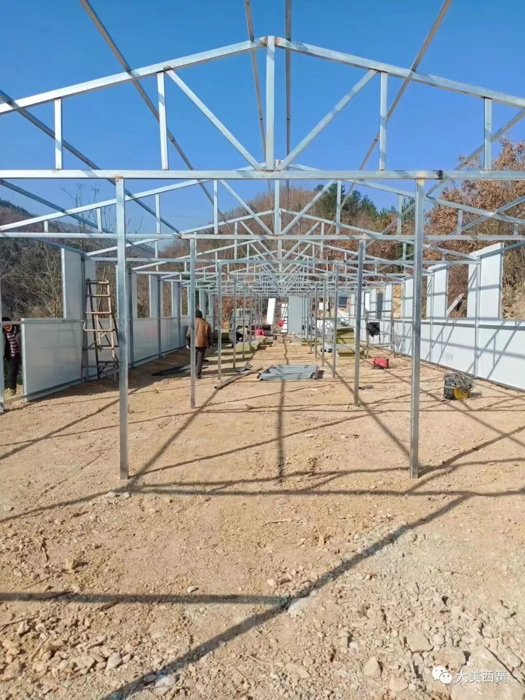 鹊山鸡,鹊山鸡粤语视频