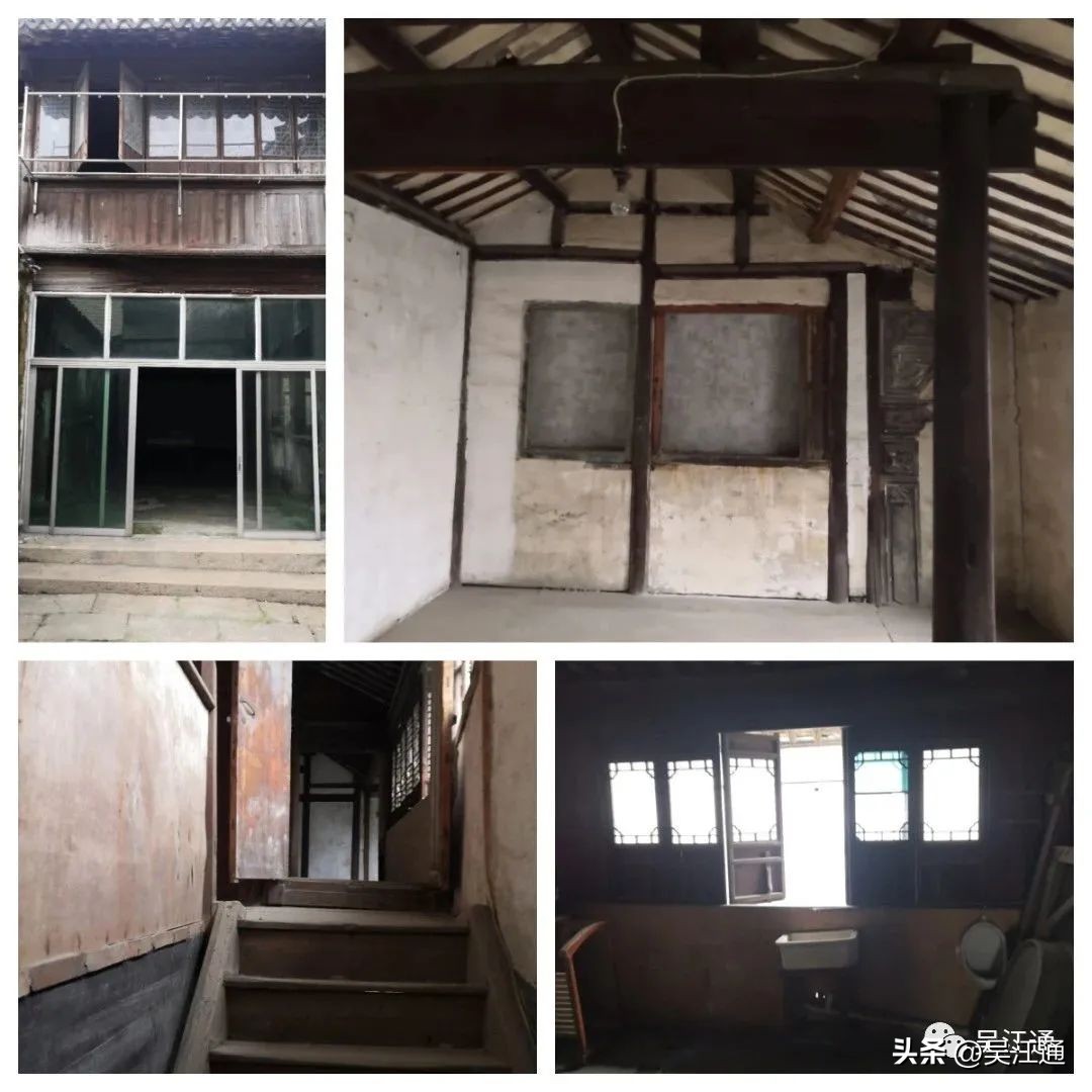 昙花一现老桩,昙花一现