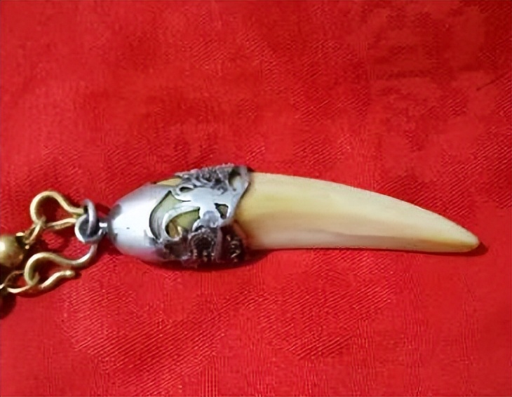 一场人与虎之间的绝世博弈，一个酣畅淋漓的儿童文学故事