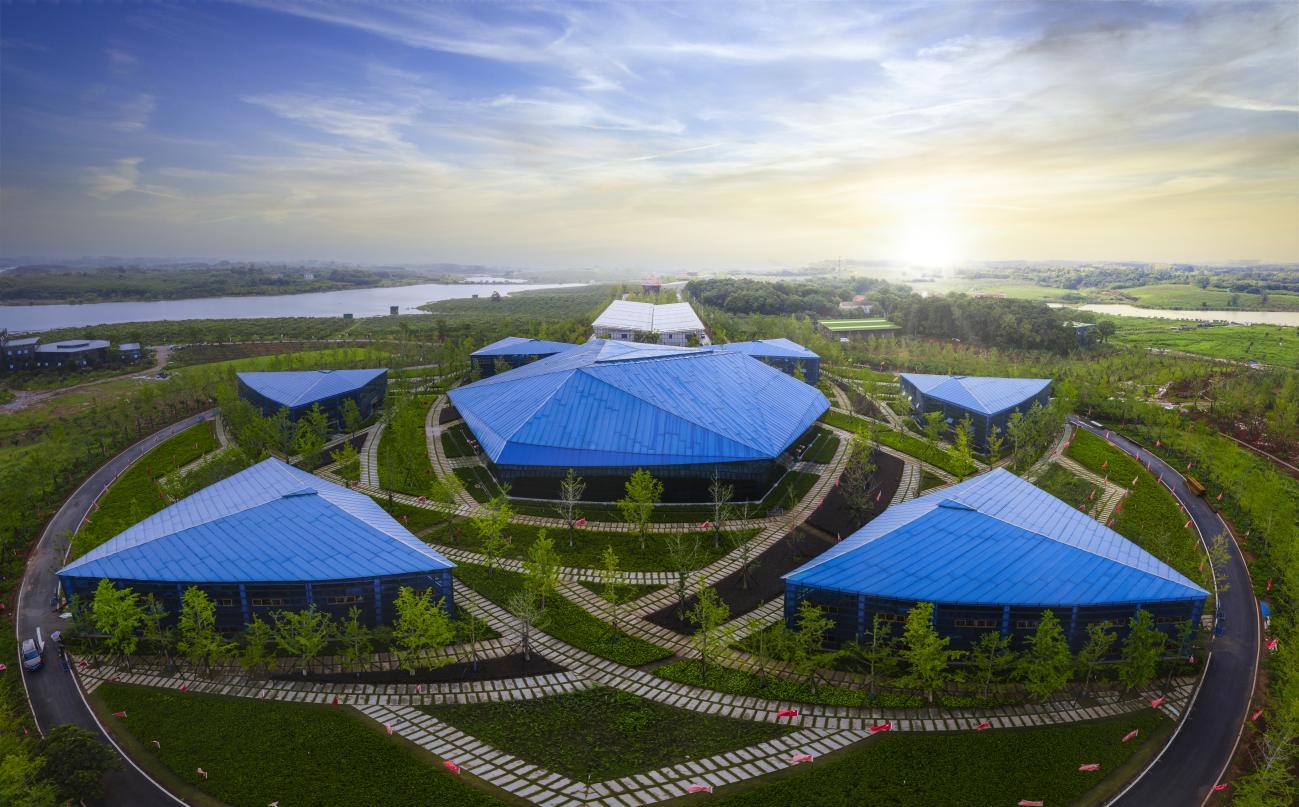 过年买给小朋友的零食礼物,致小朋友的一份礼物请查收