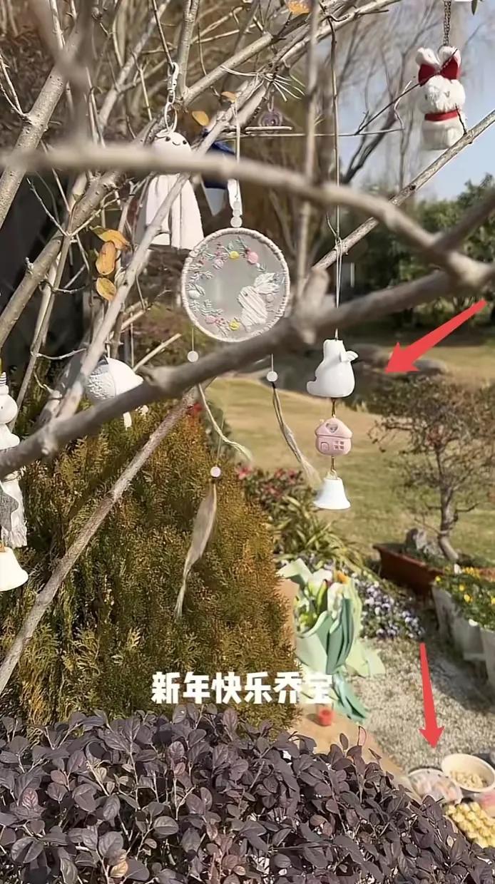 乔任梁28岁自杀身亡，“抑郁症”带走他6年后，失独父母怎样了？