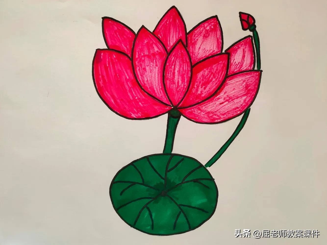 屈老师中班美术,屈老师美术课教案