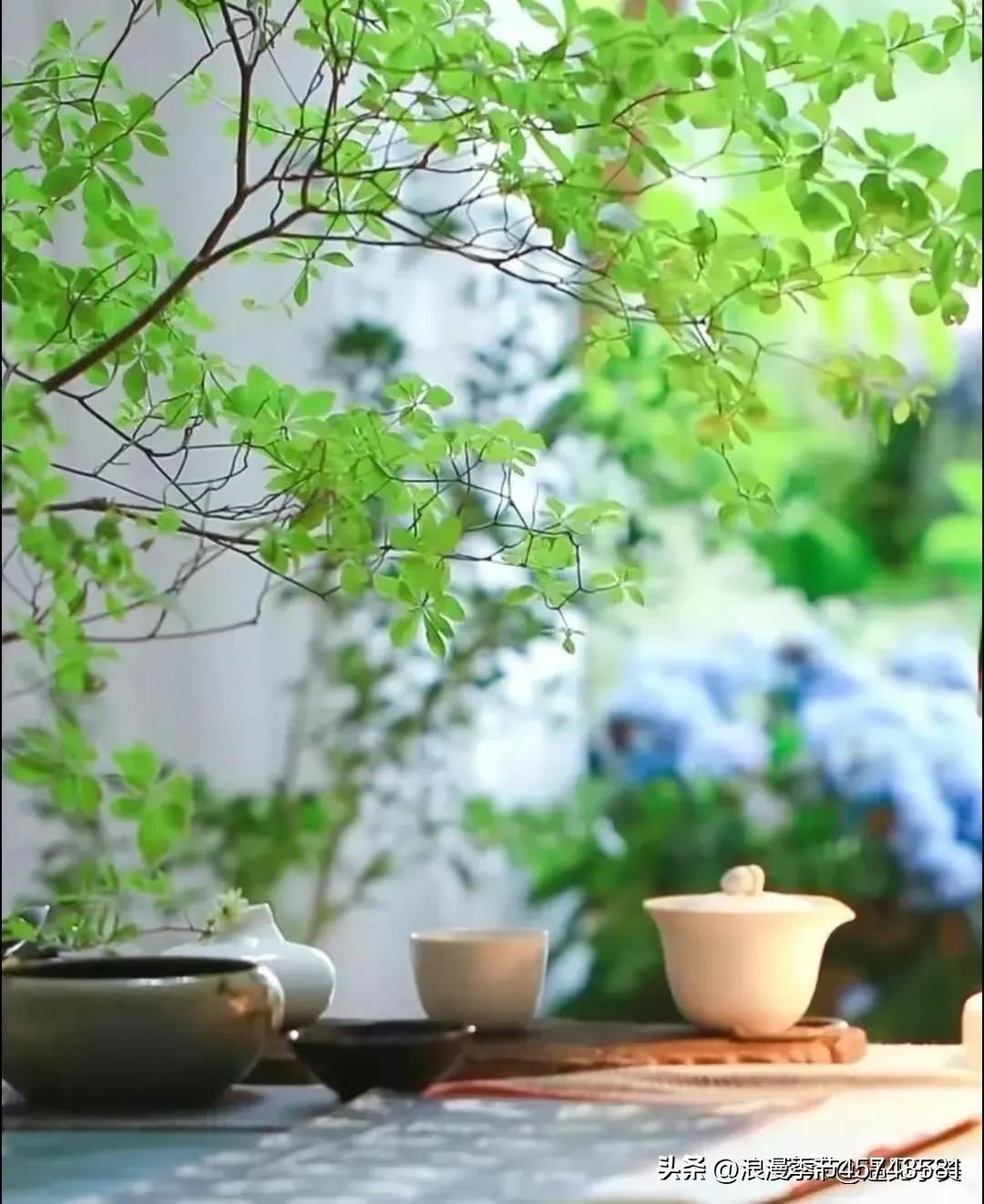 五月浅夏散文,五月的唯美散文