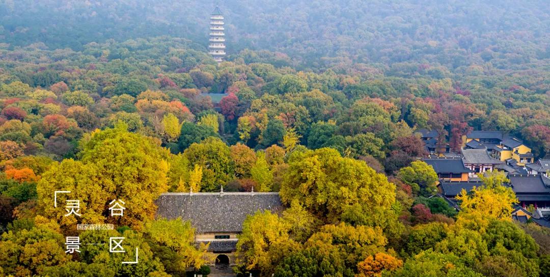 南京盐水鸭真的很好吃吗,在南京你能品尝到的小吃